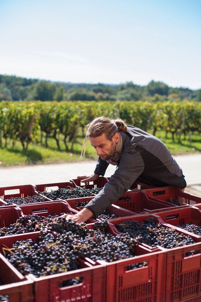 Chateau Reignac, 30 septembre 2015, vendanges, vin, chais, tonne